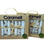 دستمال 7 عددی دست و صورت ارگانیک کارامل Caramell